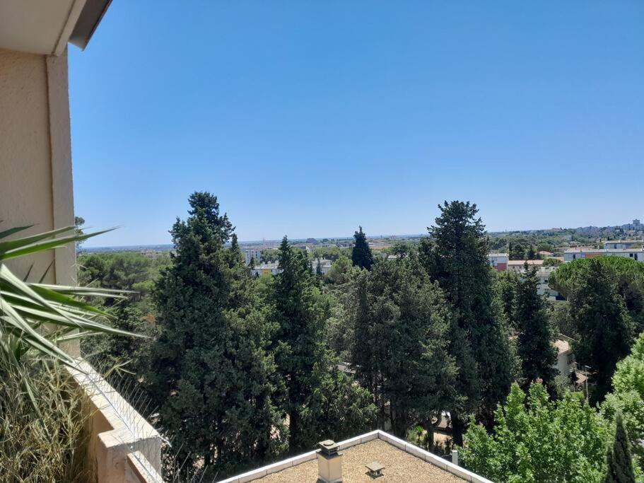 Le Buffel - Appartement 4 Chambres, Parking, Wi-Fi, Tram - 8Pers Montpellier Buitenkant foto